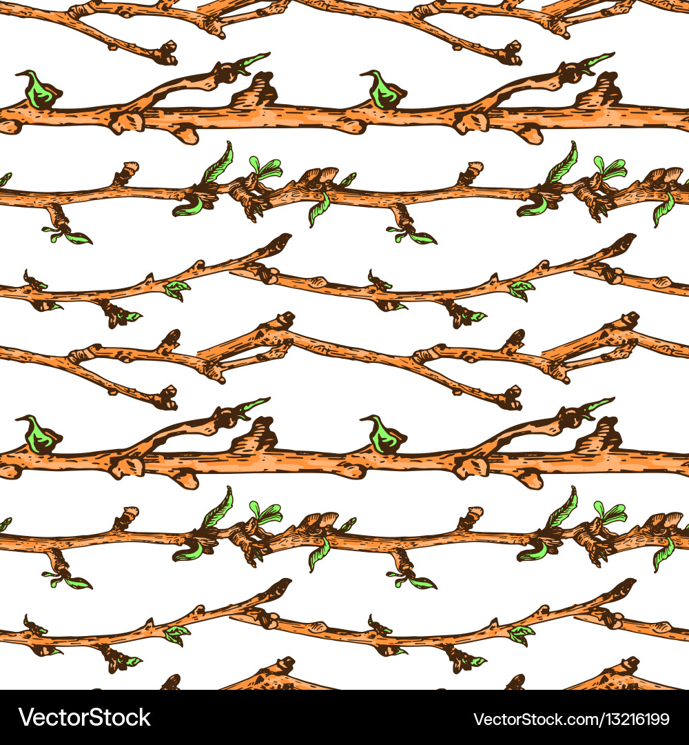 Apple tree sketch pattern 1 vector image