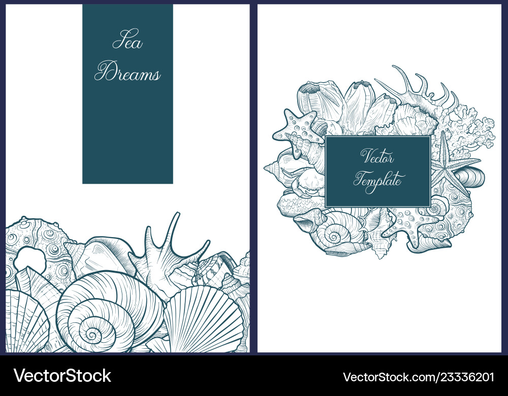 Backgrounds with seashells Backgrounds with seashells vector image