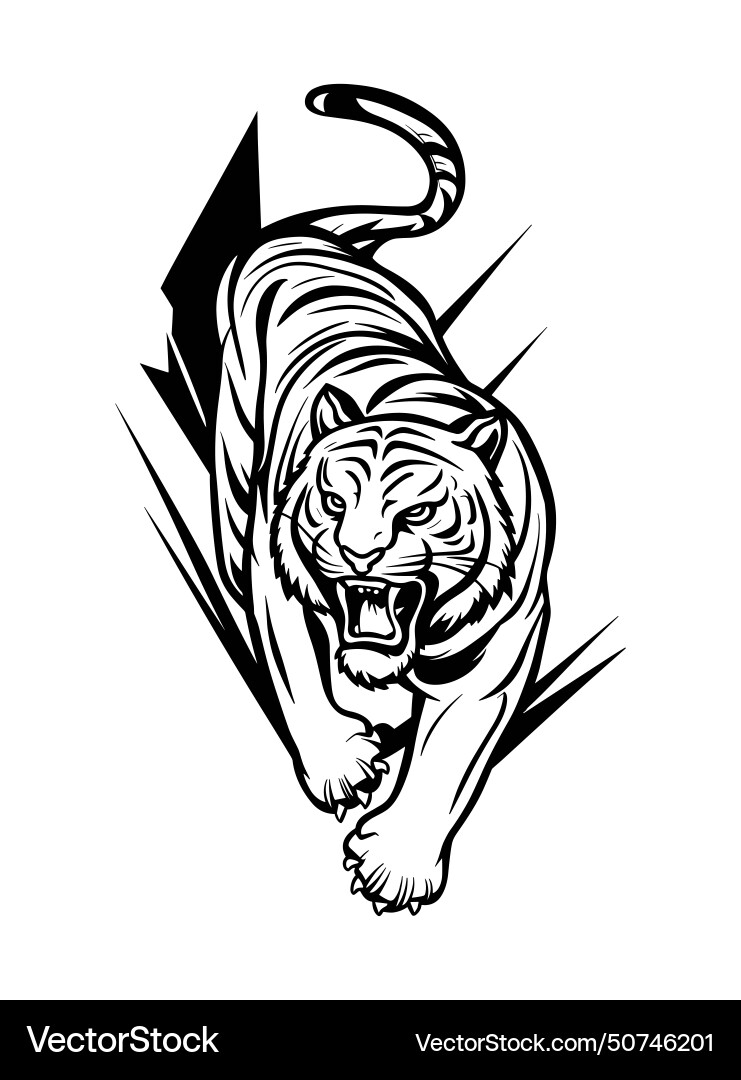Roaring tiger black and white drawing Roaring tiger black and white drawing vector image