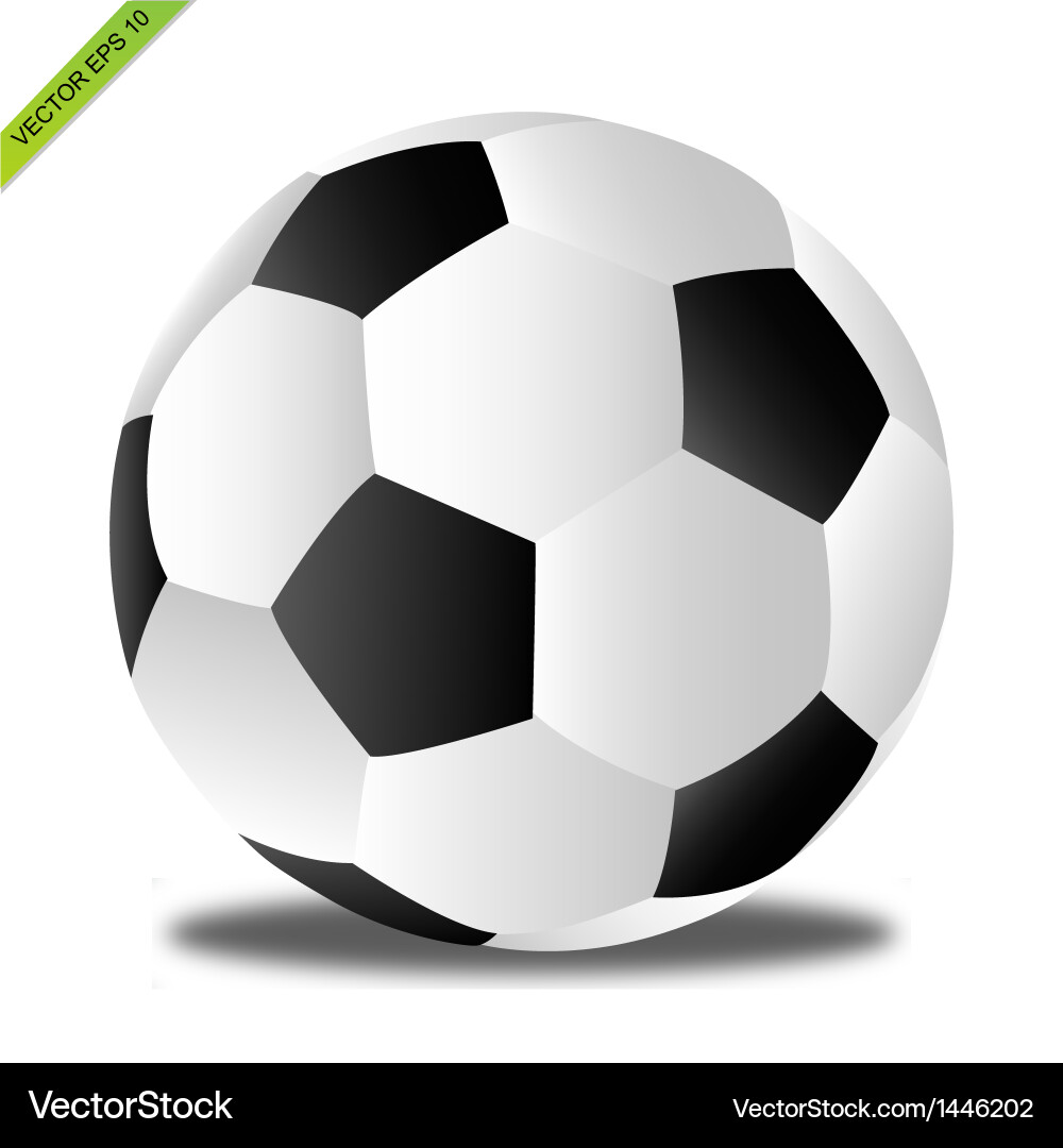 Soccer Ball Vector Image