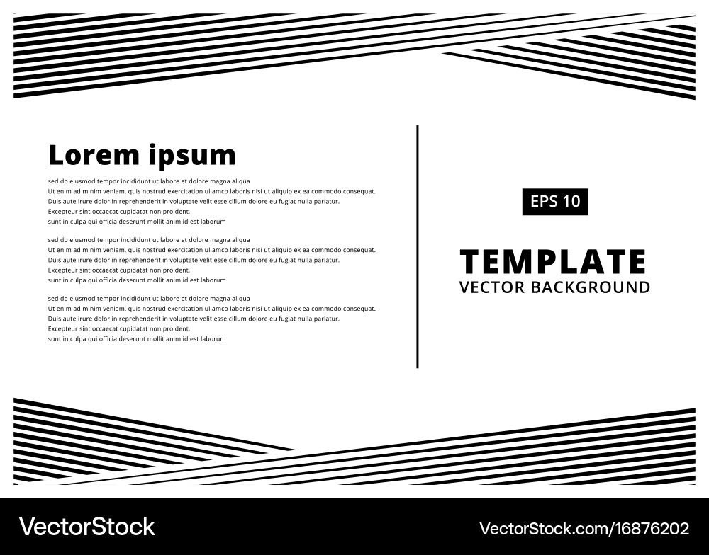 Striped Line Pattern Background vector image