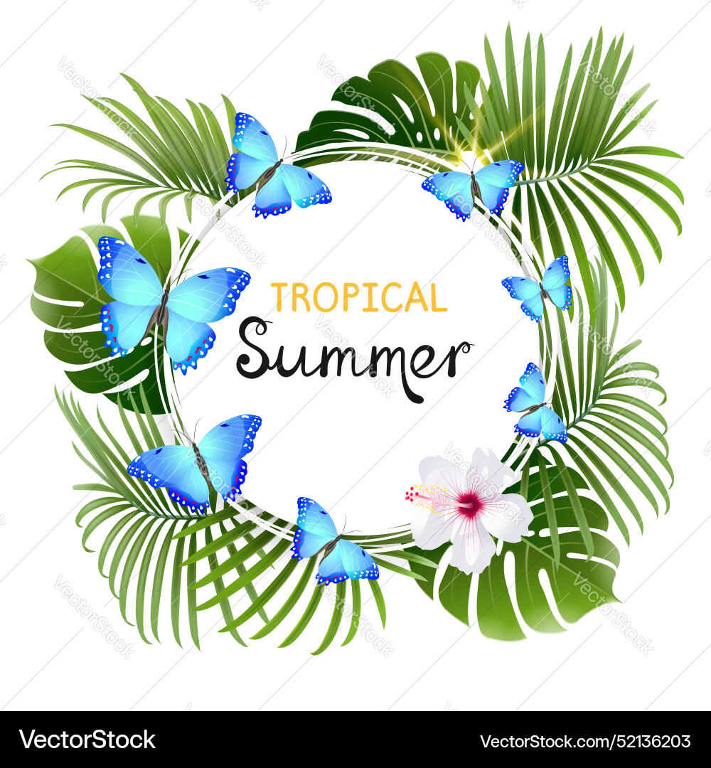 Round white banner with blue butterflies Round white banner with blue butterflies Vector Image