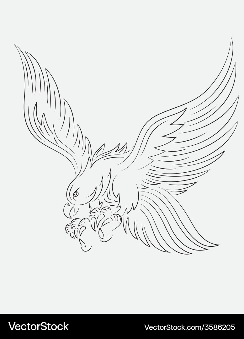 Eagle flying Royalty Free Vector Image - VectorStock