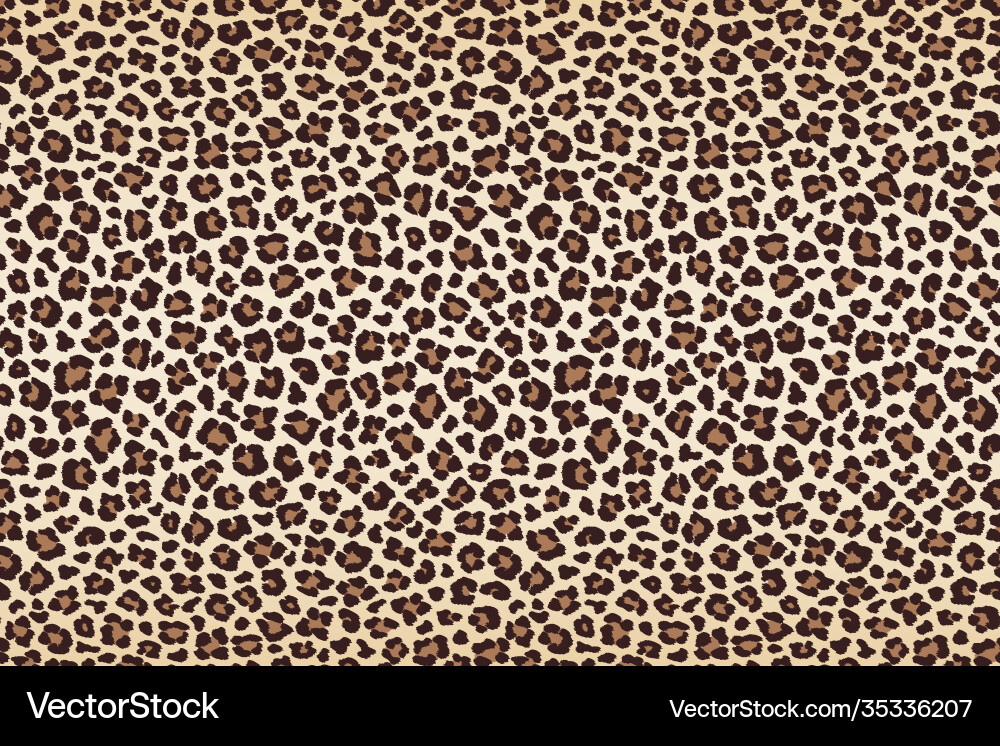 Leopard Print Pattern vector image