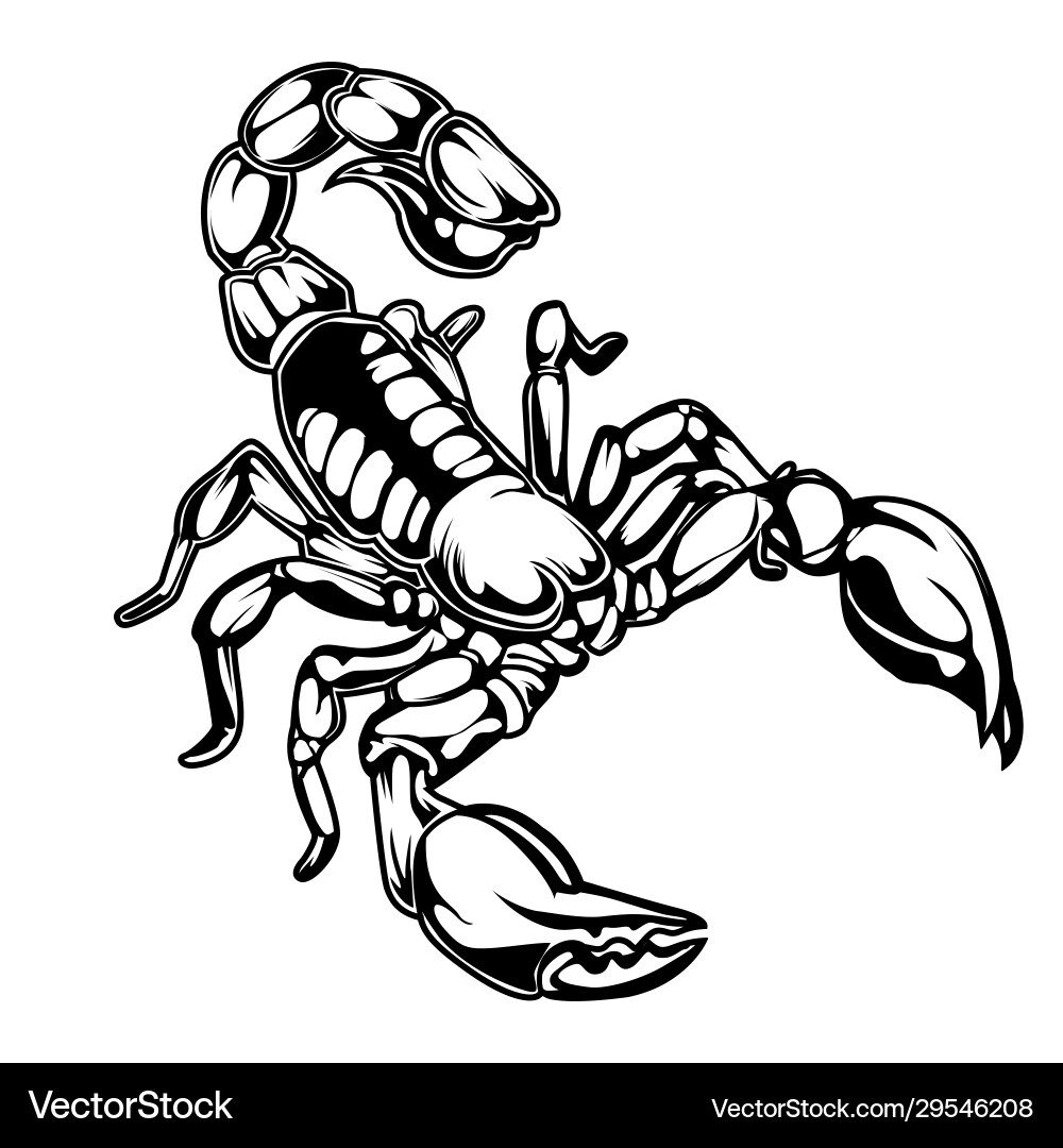 Scorpions drawing logo 02 vector image