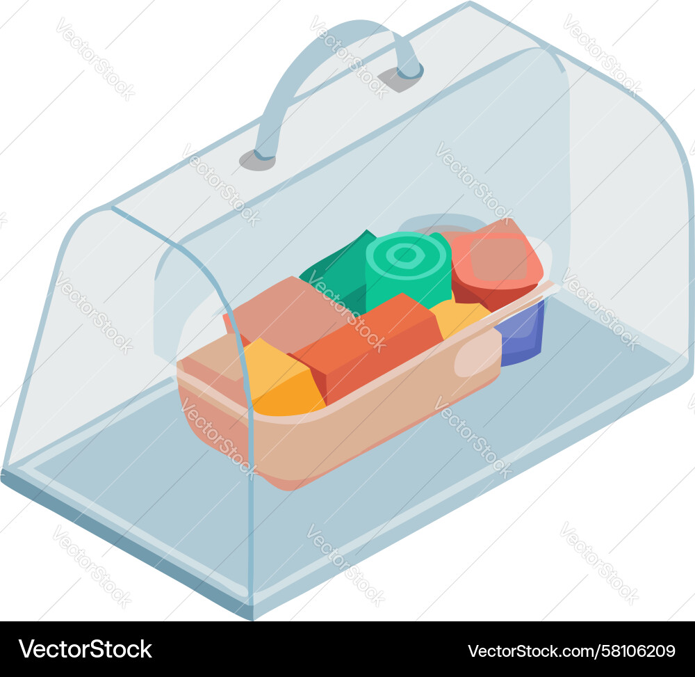 Clear Storage Box with Blocks Vector Image