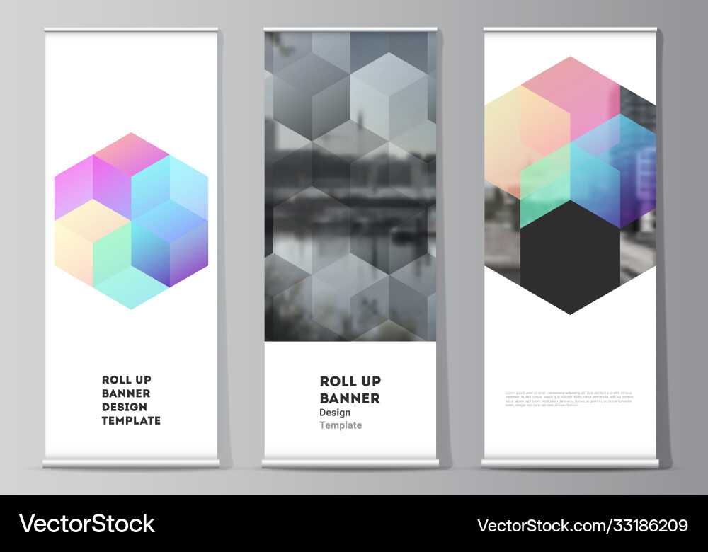 Layout roll up mockup design templates Vector Image