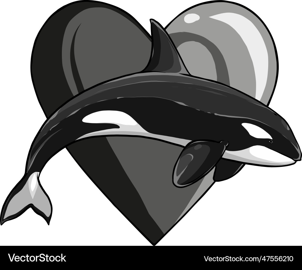 Orca Liebe schwarz und weiß Cartoon Symbol Orca Liebe schwarz und weiß Cartoon Symbol vektorbild