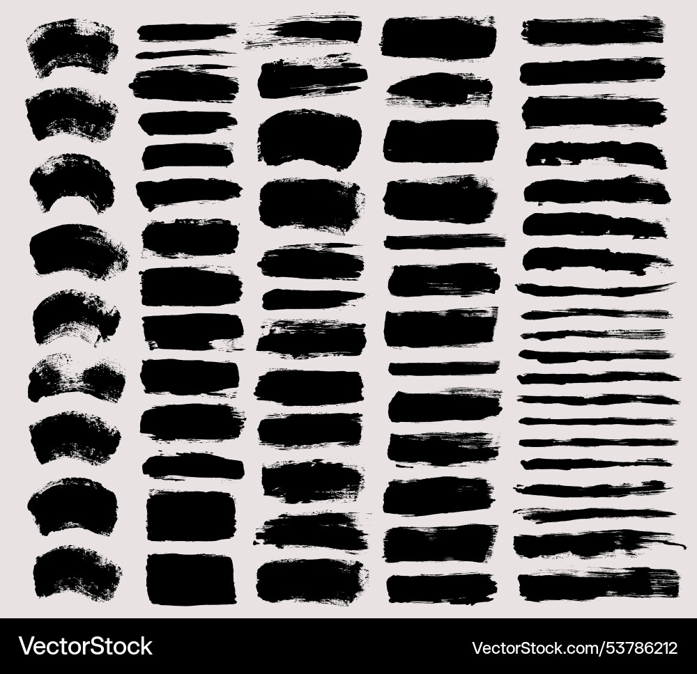 Dynamic Brushstroke Collection vector image