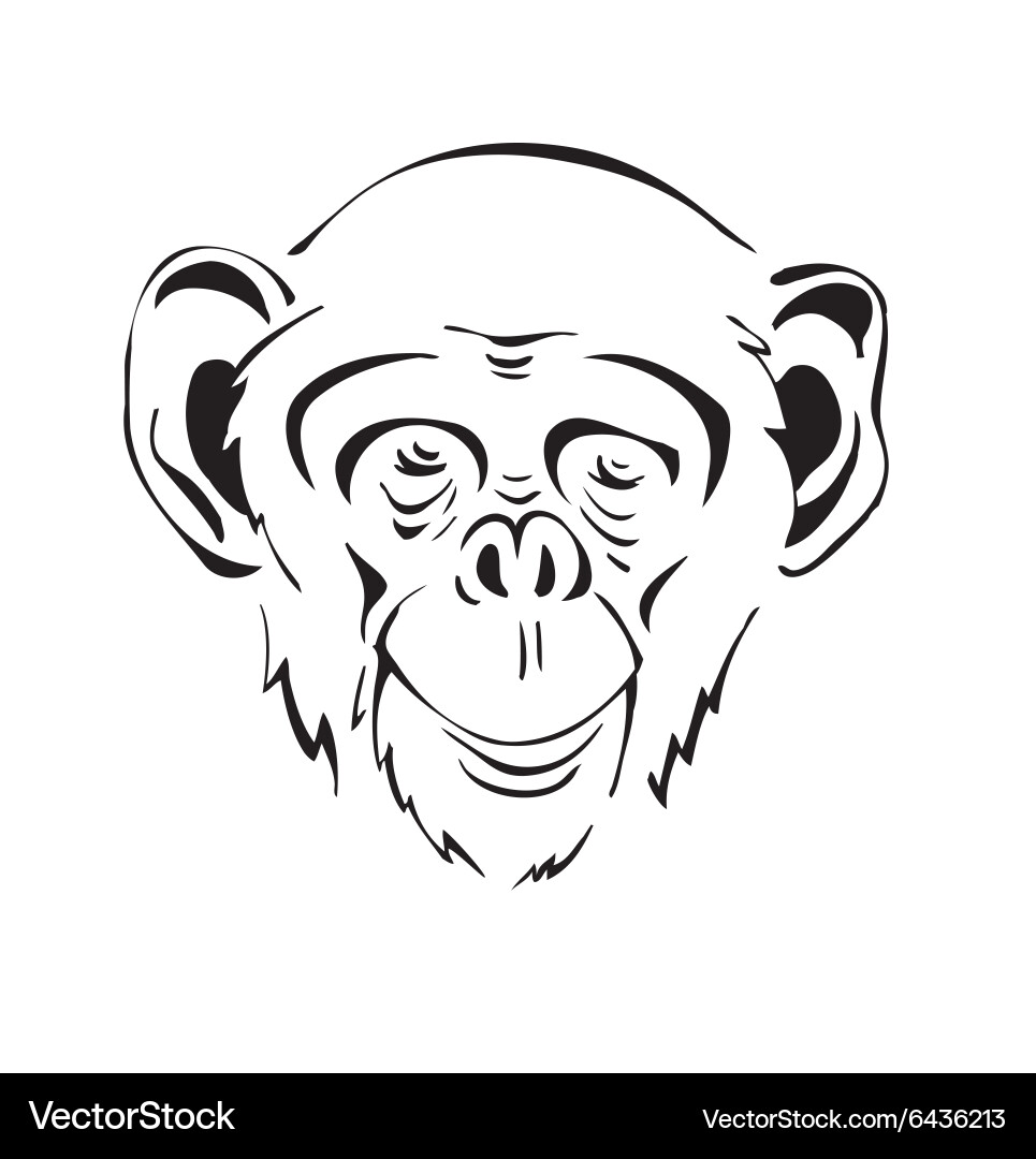 Chimpanzee Head Illustration Vector Image