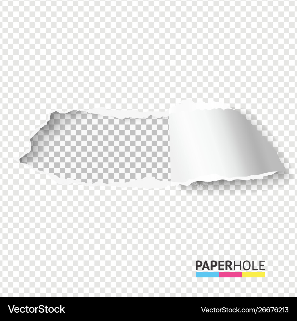Rip paper hole on transparent background Vector Image