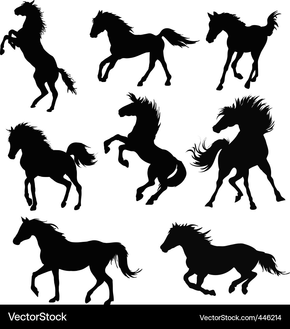 Black Horse Silhouettes vector image