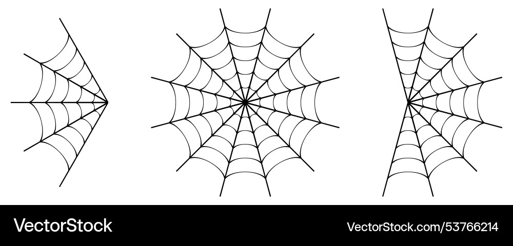 Cobweb varieties isolated spiderwebs Cobweb varieties isolated spiderwebs vector image