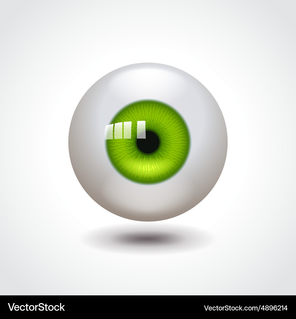 Green eye Royalty Free Vector Image - VectorStock