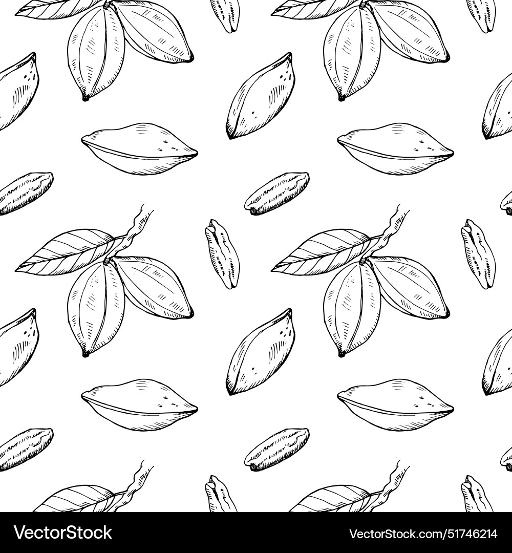 Pecan nuts seamless pattern repeating background Pecan nuts seamless pattern repeating background vector image