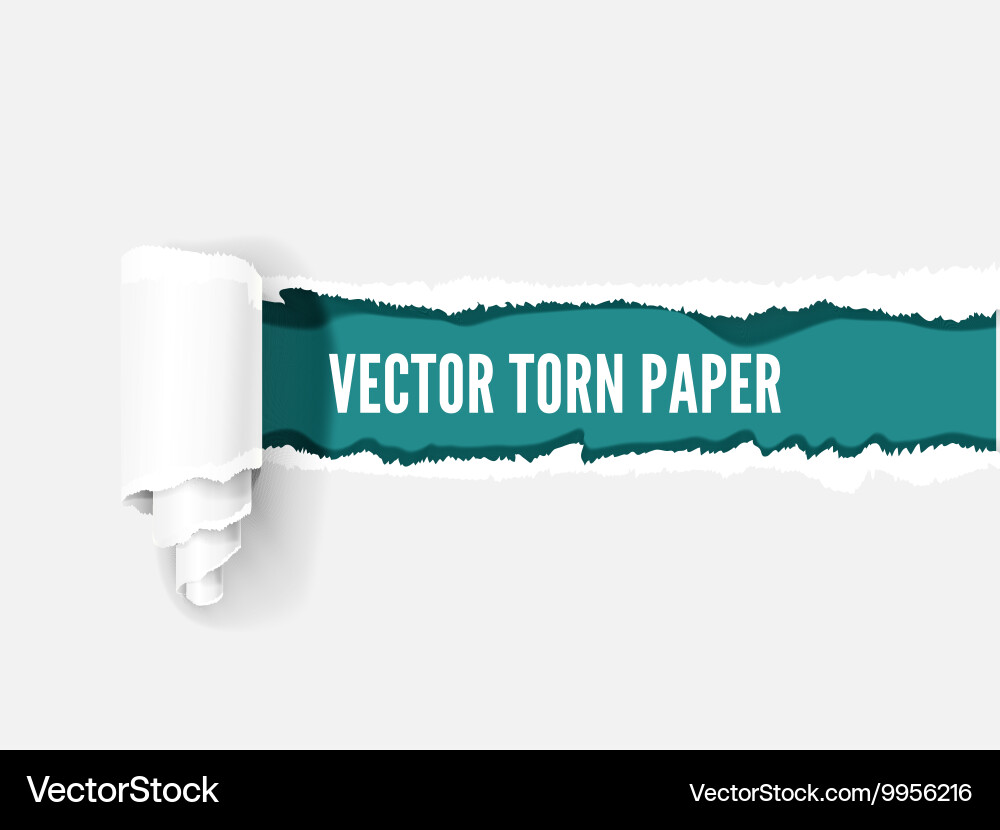 Torn Paper Scroll with Text Sample Vector Image