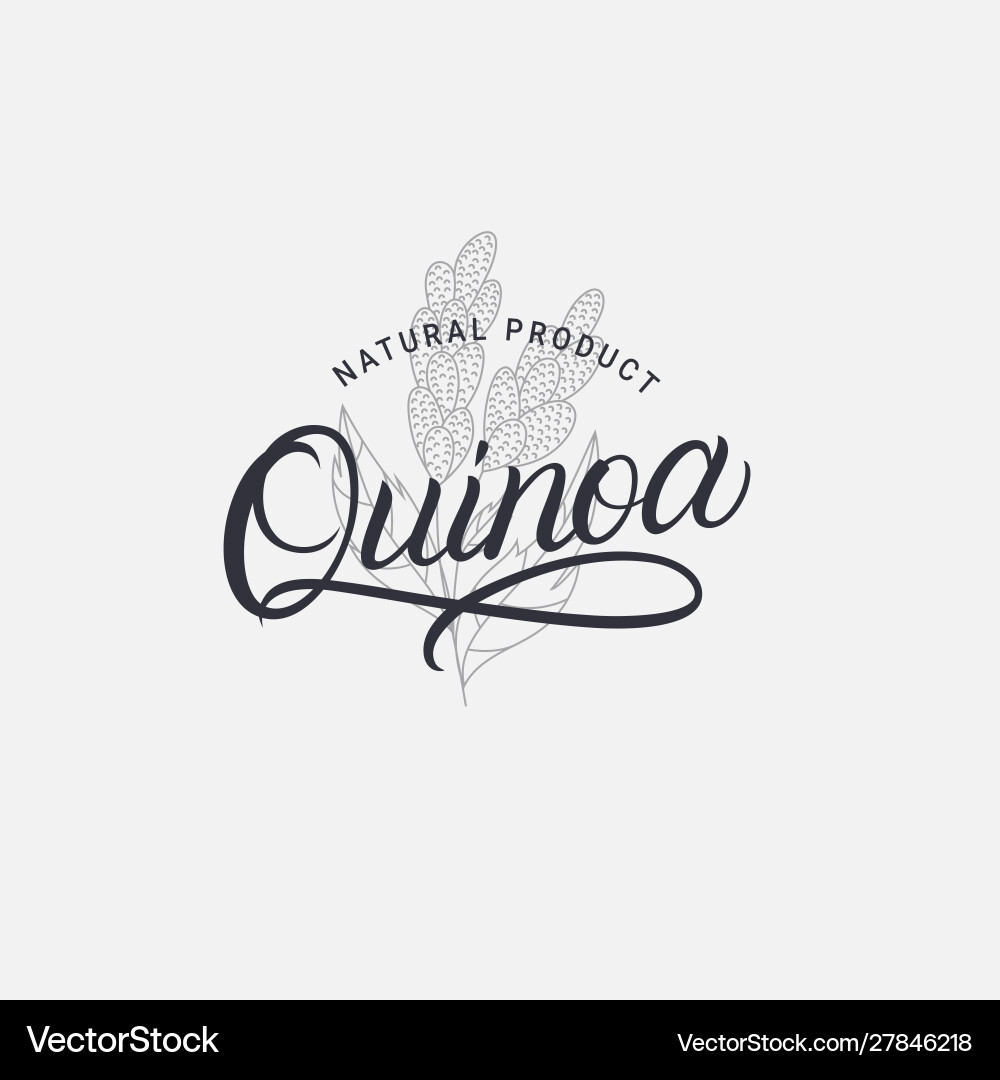 Quinoa handschriftliches Schriftzeichen Quinoa handschriftliches Schriftzeichen vektorbild