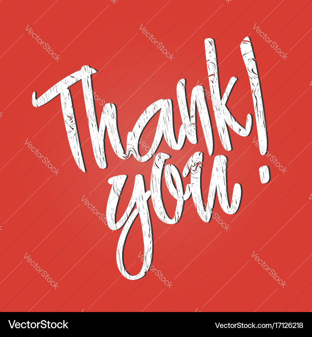 Thank you lettering handwritten calligraphy Vector Image