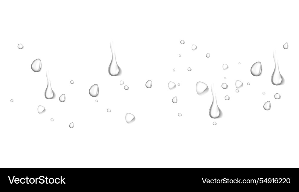 Realistic water drop and condensation Realistic water drop and condensation vector image