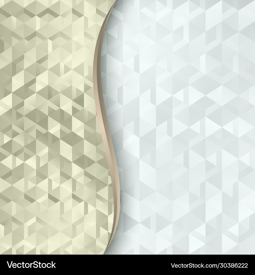 Geometric Abstract Pattern vector image