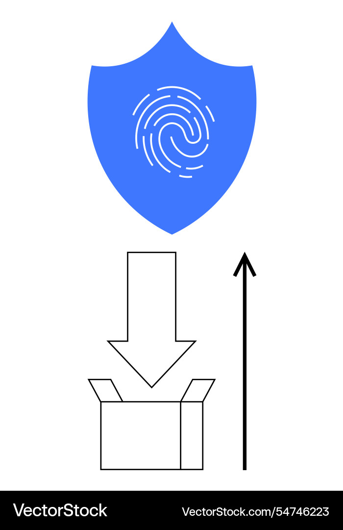 Digital security and efficiency shield Digital security and efficiency shield vector image