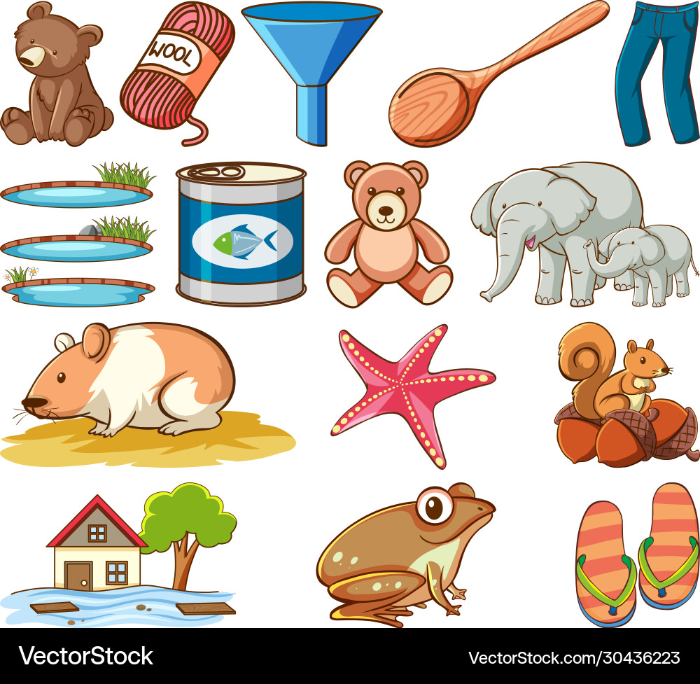 Large set different animals and other objects Large set different animals and other objects vector image