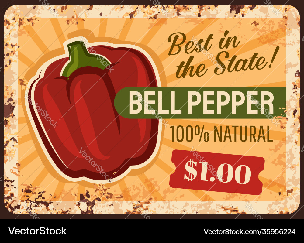 Bell pepper farm rusty metal plate Bell pepper farm rusty metal plate vector image