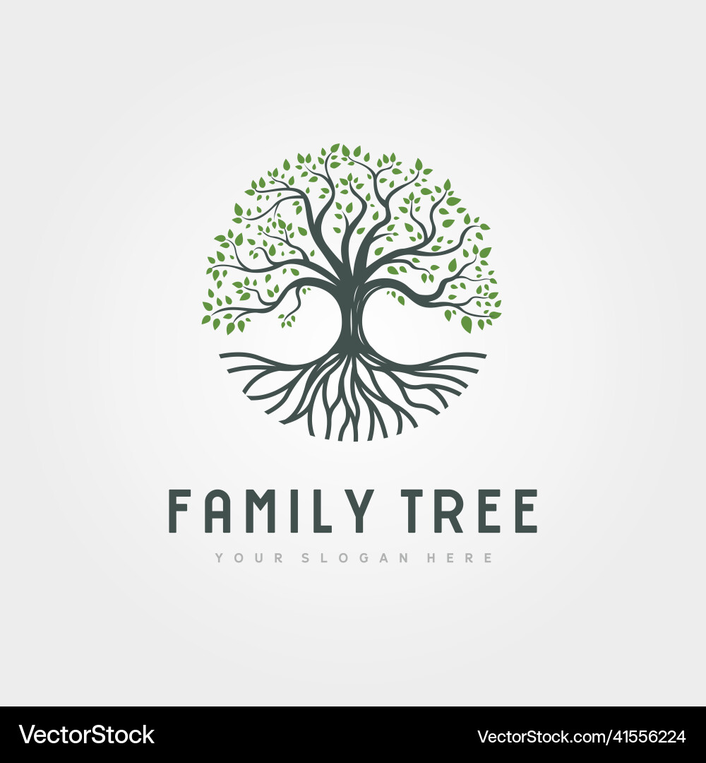 Circle root of the tree logo symbol design oak vector image