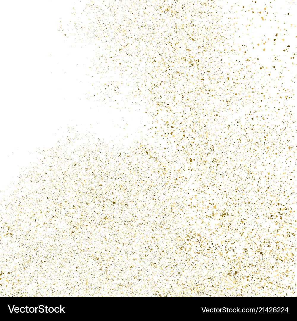 Gold Glitter Explosion vector image