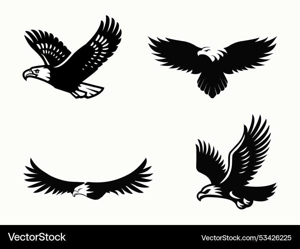 Dynamic eagle powerful predators in motion Vector Image