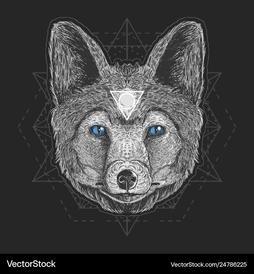 Wolf head detail vector image