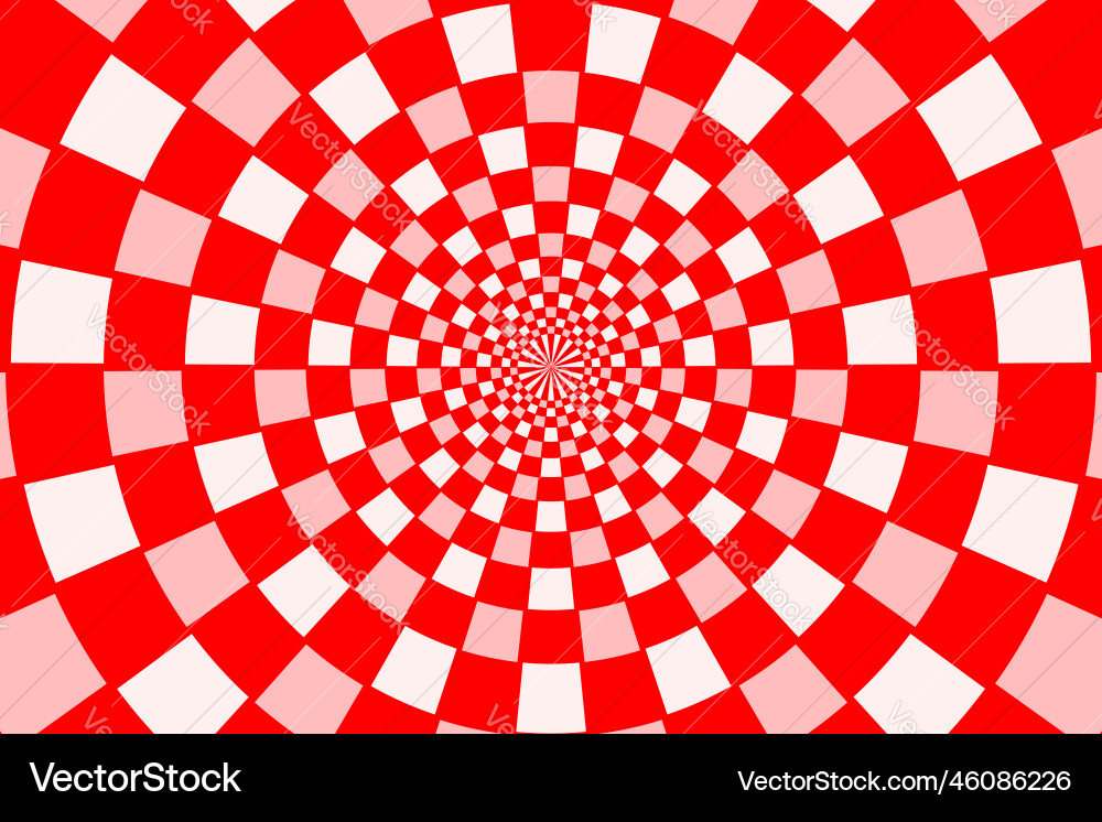 Checkered sectors on disk in concentric circles vector image