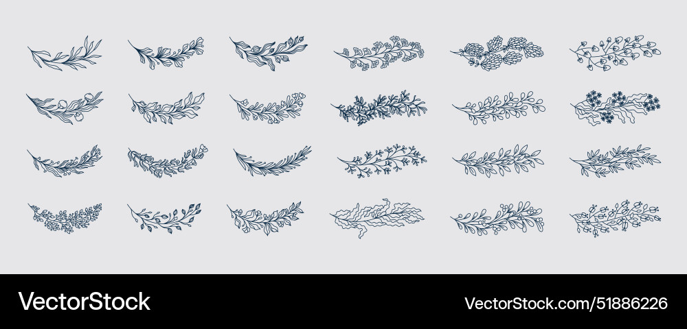 Flower branch eucalyptus olive and rosemary Flower branch eucalyptus olive and rosemary vector image