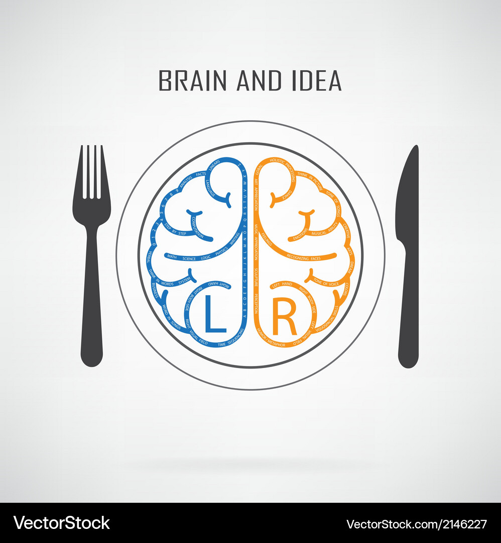 Brainstorming - Left & Right Concepts Vector Image