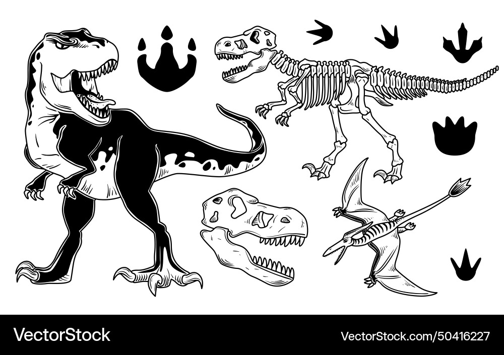 Set of dinosaurs for creating your own badges Set of dinosaurs for creating your own badges Vector Image