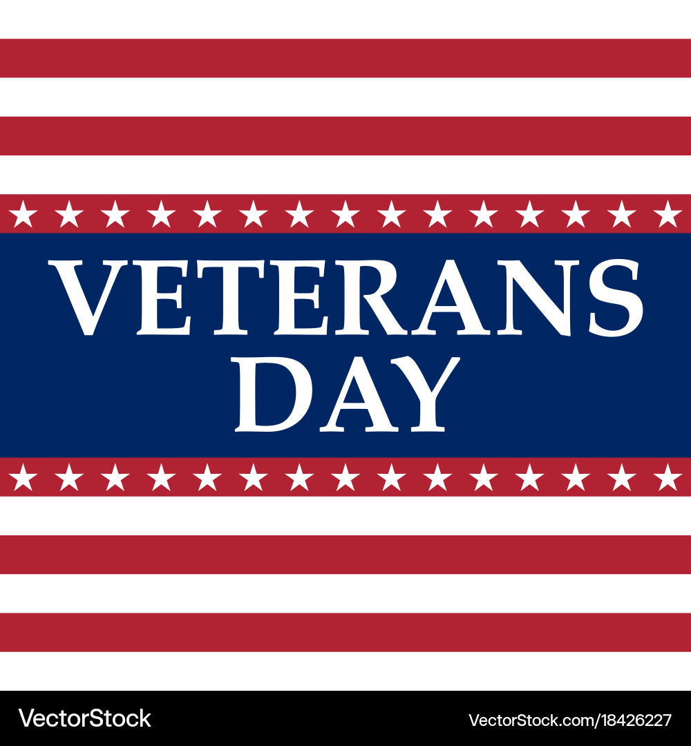 Veterans Day USA Vector Image