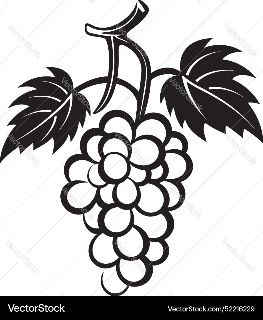 Fruitful union grapevine with grapefruit design Fruitful union grapevine with grapefruit design vector image