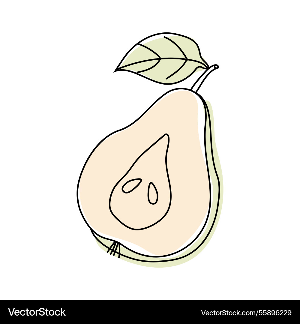 Simple line drawing of a pear with leaf Simple line drawing of a pear with leaf Vector Image