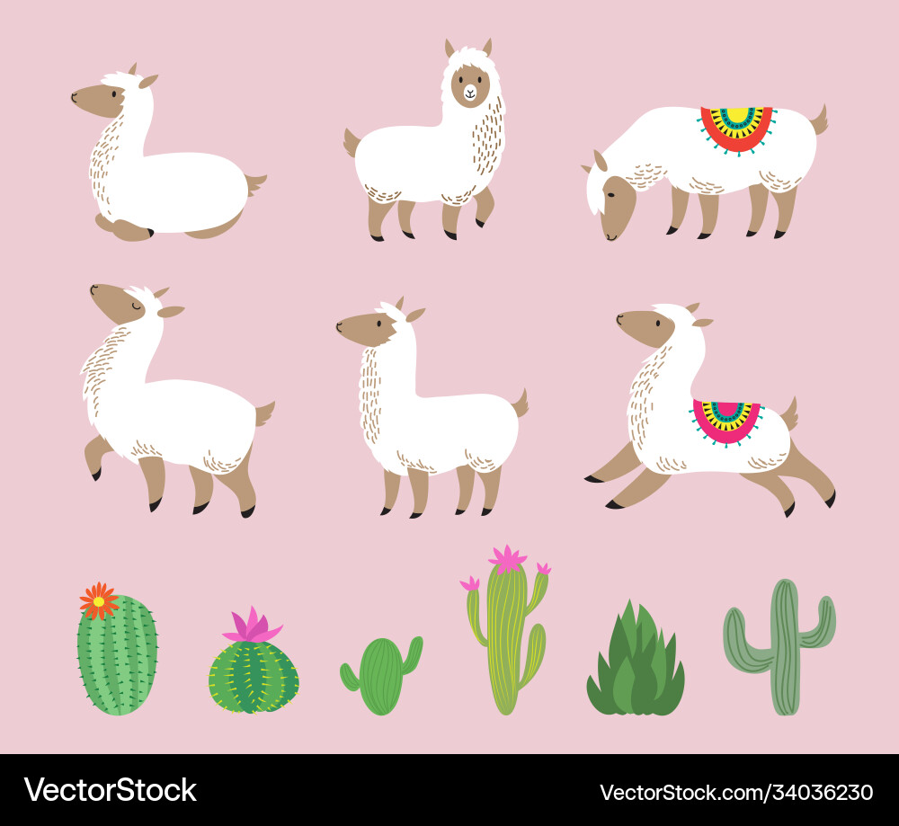 White llama set cute alpaca cartoon wool wild White llama set cute alpaca cartoon wool wild Vector Image