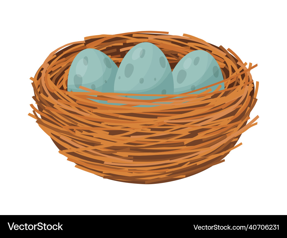 Bird nest with eggs and branches isolated Bird nest with eggs and branches isolated vector image