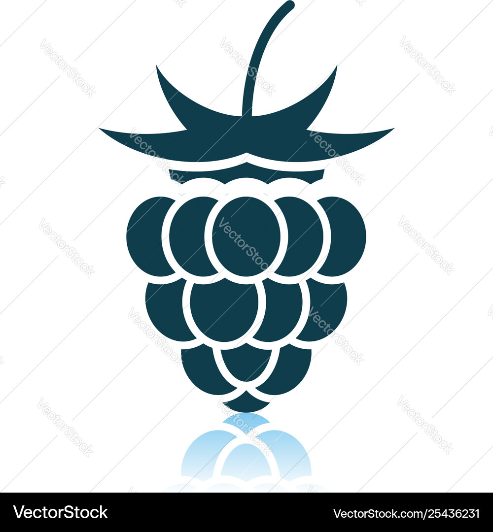 Raspberry icon on gray background Raspberry icon on gray background vector image