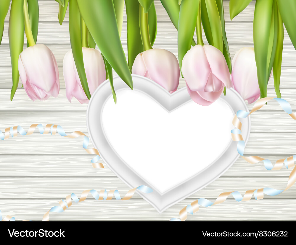 Heart shape frame with tulips eps 10 Vector Image
