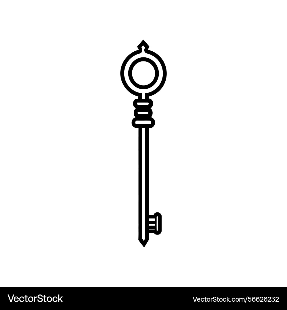 Minimalist key design with intricate details Vector Image
