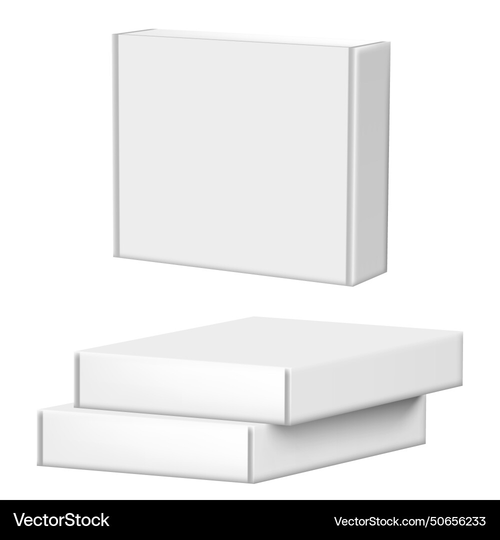 3d cardboard box for software or other stuff Vector Image