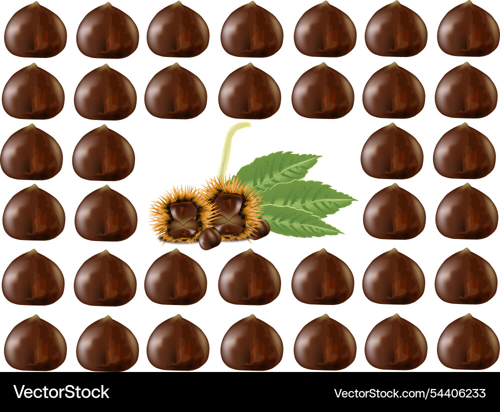 Chestnuts creating a frame around open chestnut Vector Image