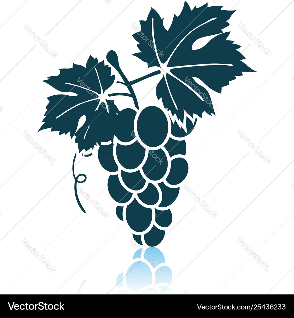 Grape icon on gray background Grape icon on gray background vector image
