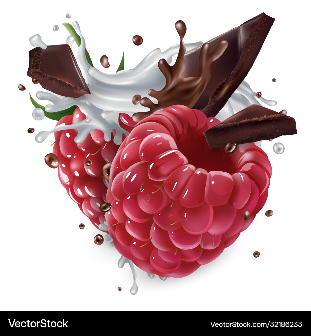 Raspberries with chocolate pieces and a splash Vector Image