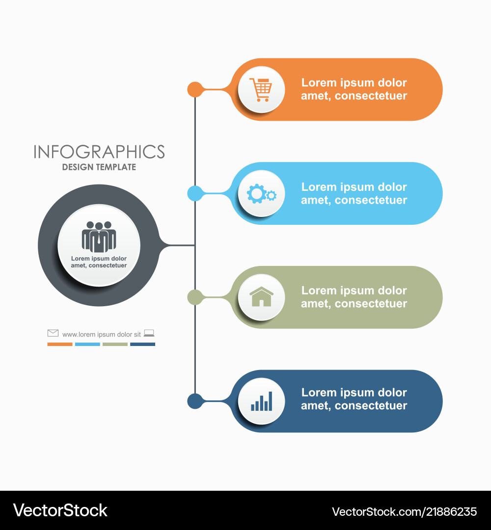 Infographic Template - Data Visualization vector image