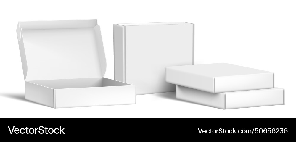 3d cardboard box for software or other stuff Vector Image