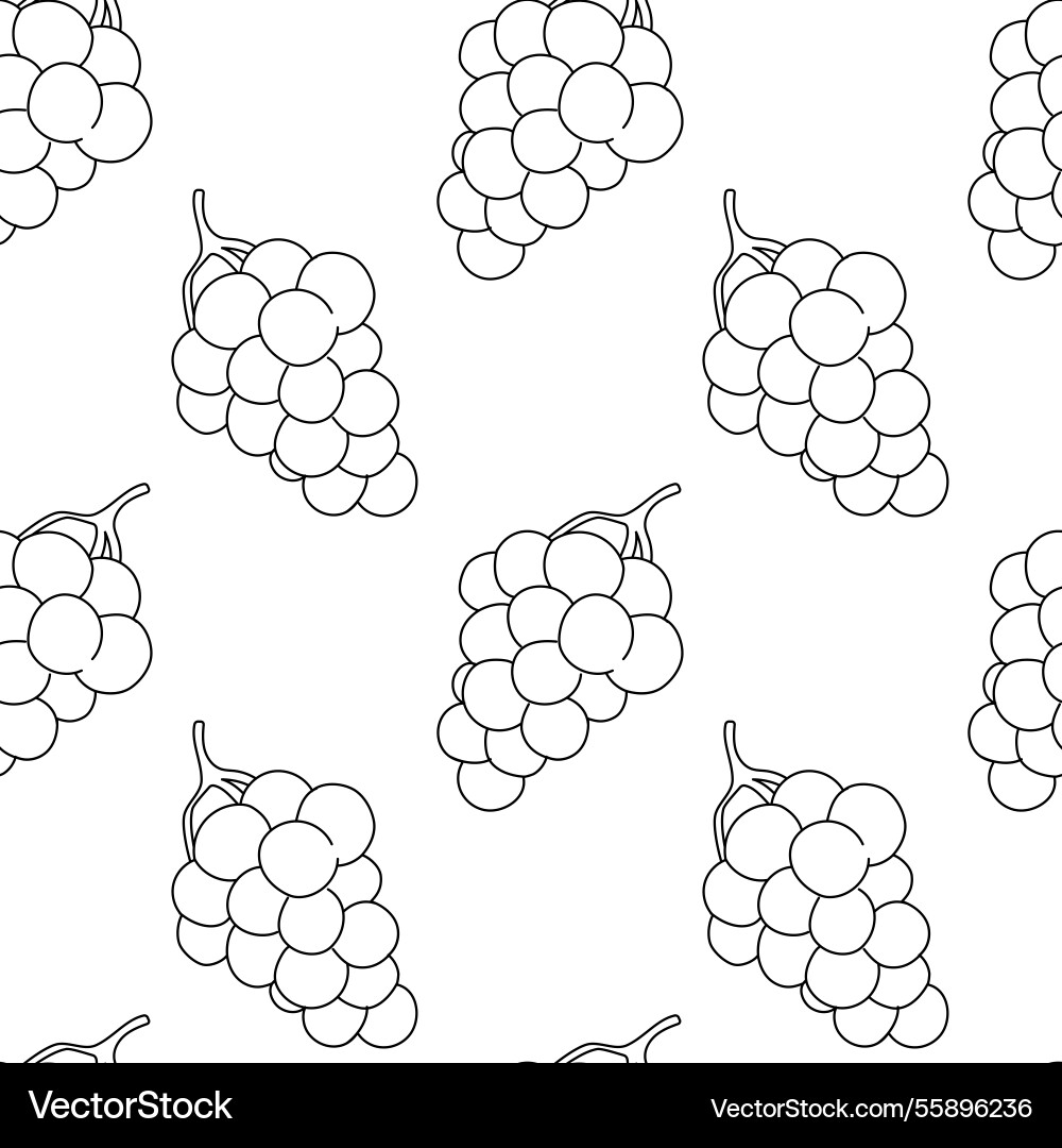 Grape clusters pattern design with detailed Vector Image